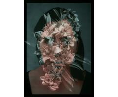 Nada es lo que parece II