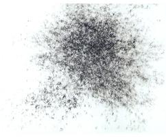 Donde olvido mi nombre