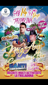 Mig any carnestoltes Pego 2013