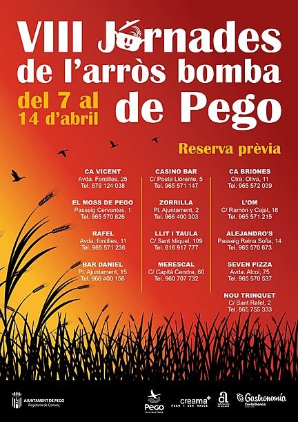 Curs fotografia amb el mòbil